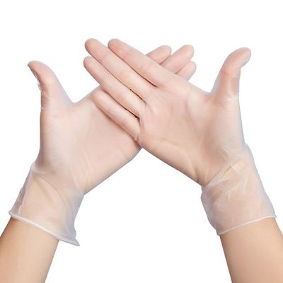 ポリ塩化ビニールのビニールの使い捨て可能な使い捨て可能な検査の手袋の普通サイズの反切口のプラスチック手袋